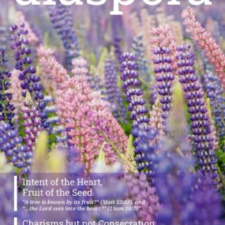 Diaspora Vol 1 Iss 3